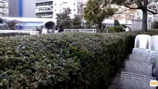 国产精品.亚洲杯赛程2015在线a 日本一区二区在线看_国产在线精品观看一区欧美国产精品不卡在线观看_国产亚洲一区二区手机在线观看